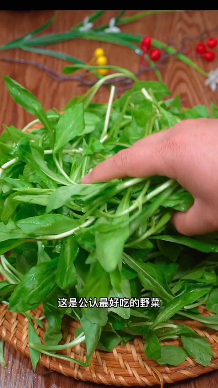 这是公认最好吃的野菜我们叫马兰头你们叫什么?