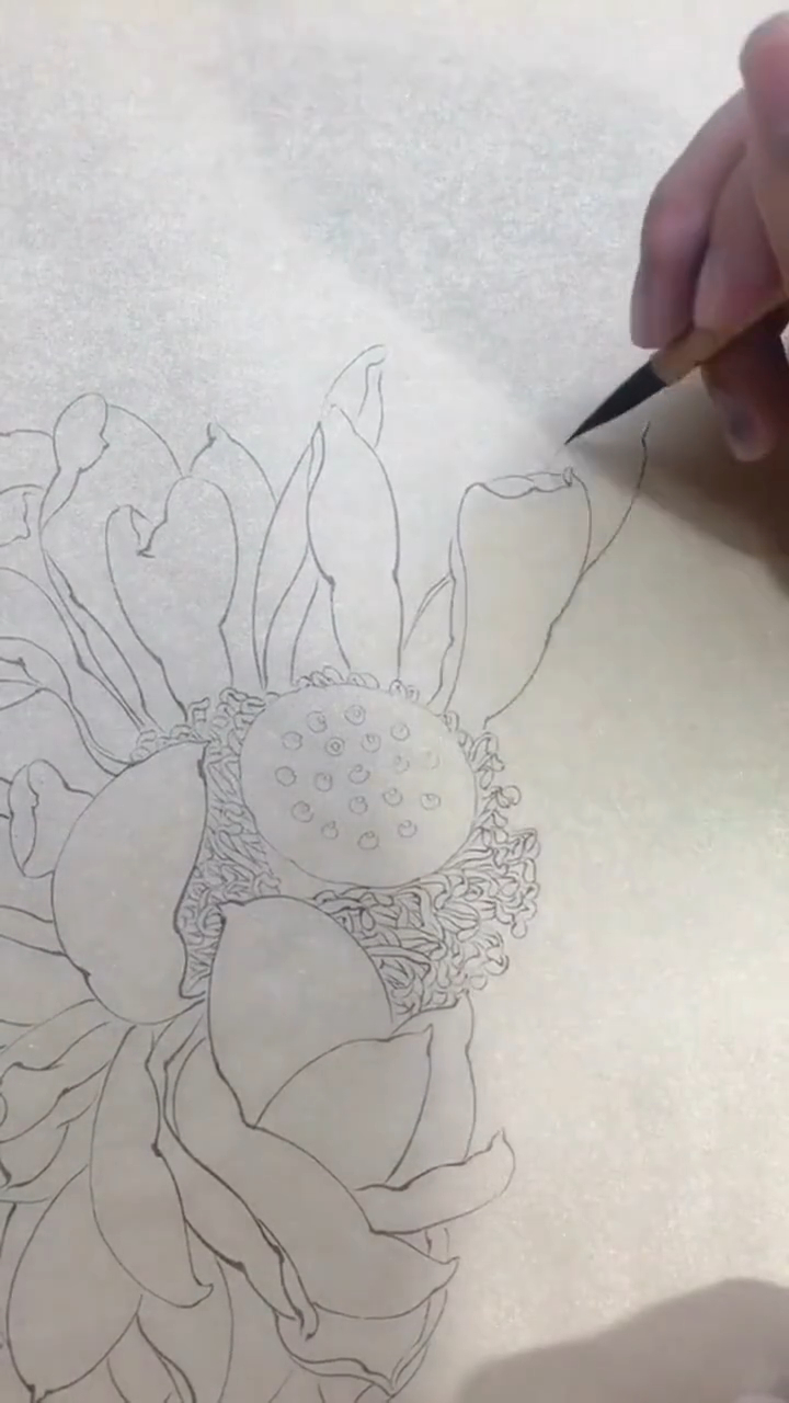 工笔画:如何画白描