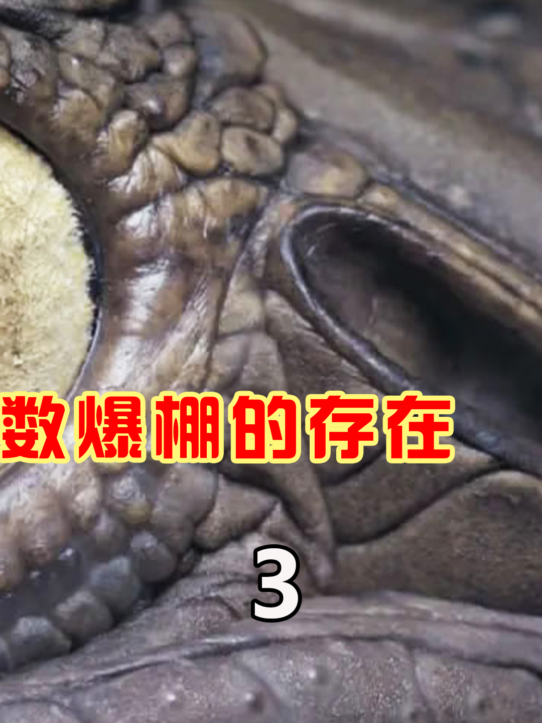 传奇巨鳄古斯塔夫,累计食人超878人,恐怖水域的霸主