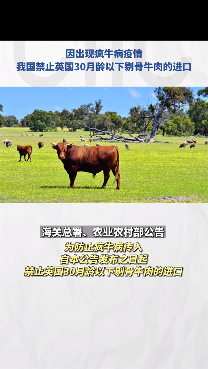 因出现疯牛病疫情,我国禁止英国30月龄以下剔骨牛肉的进口!