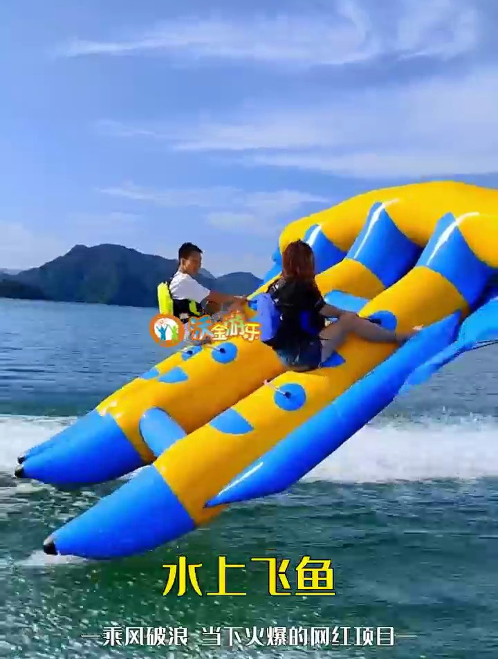 水上飞鱼-像海鸥一样徜徉在海面