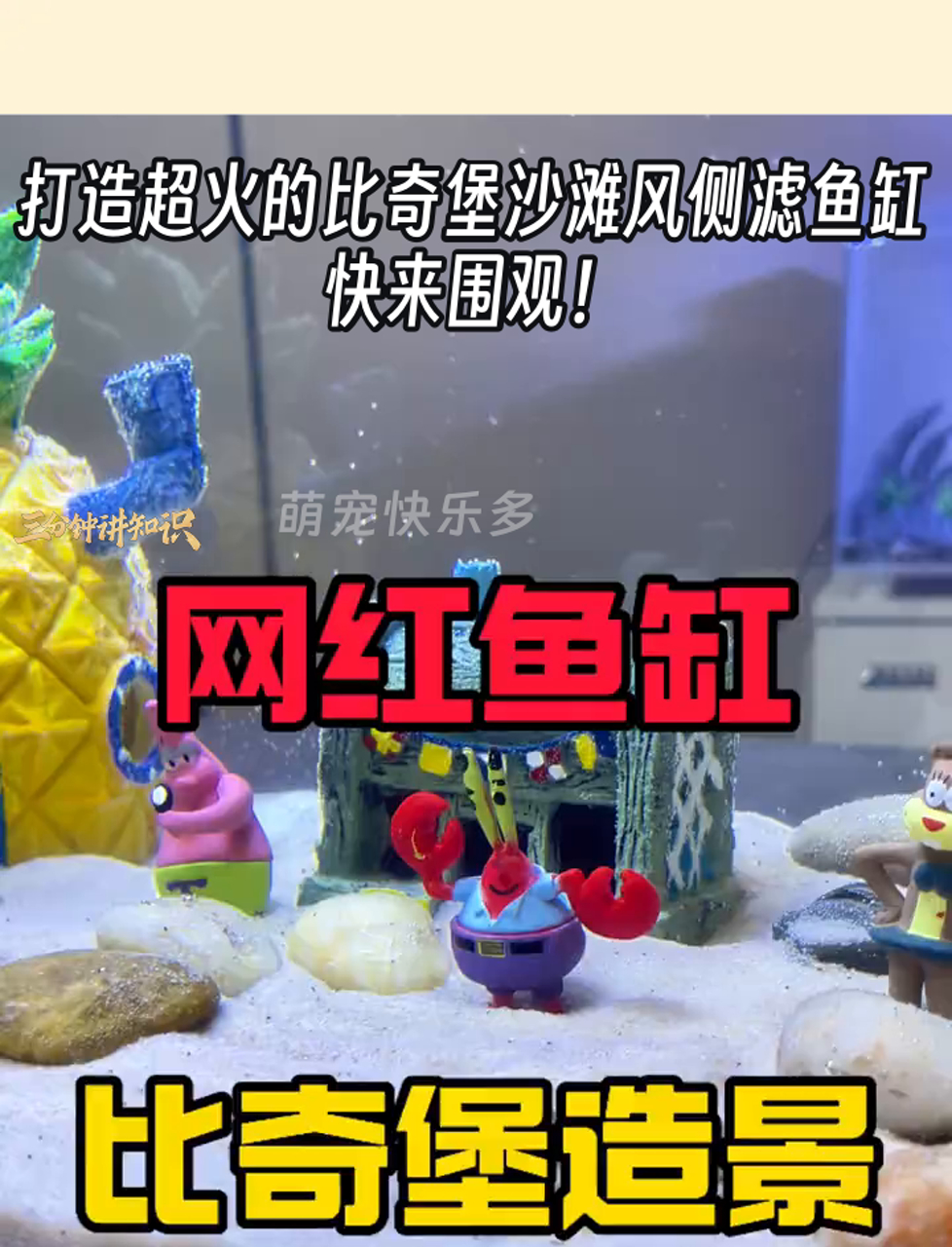 打造超火的比奇堡沙滩风侧滤鱼缸,快来围观!