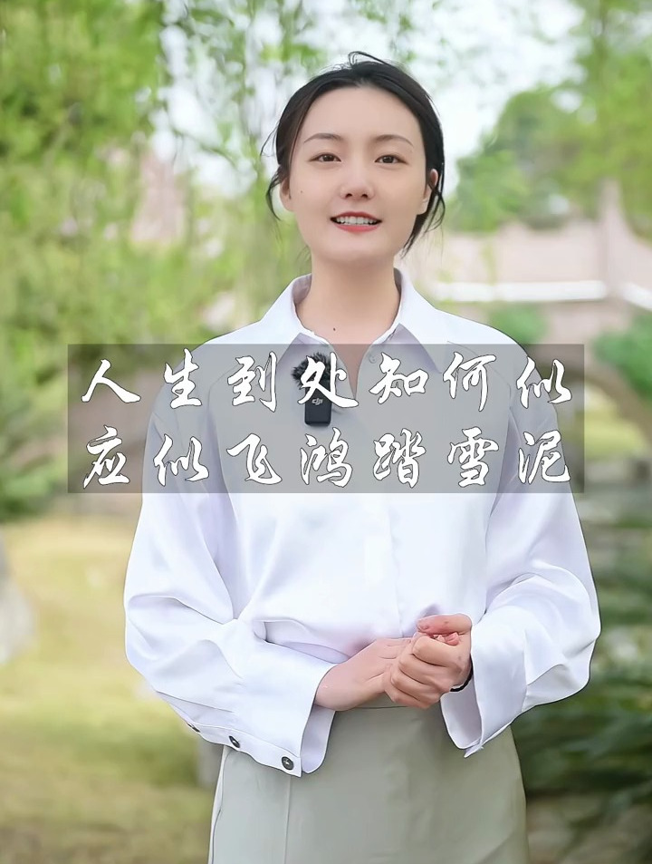 唯美诗词:人生到处知何似,应似飞鸿踏雪泥!