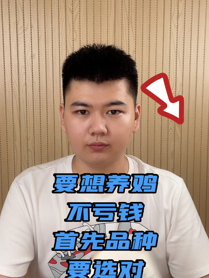 散养什么品种鸡好什么品种鸡产蛋率高散养土鸡怎么养殖