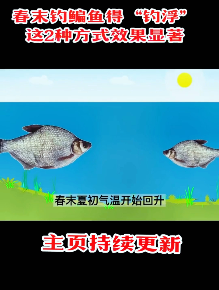 钓鳊鱼怎么钓?老钓鱼人经常用这2种方式浮钓鳊鱼,效果显著