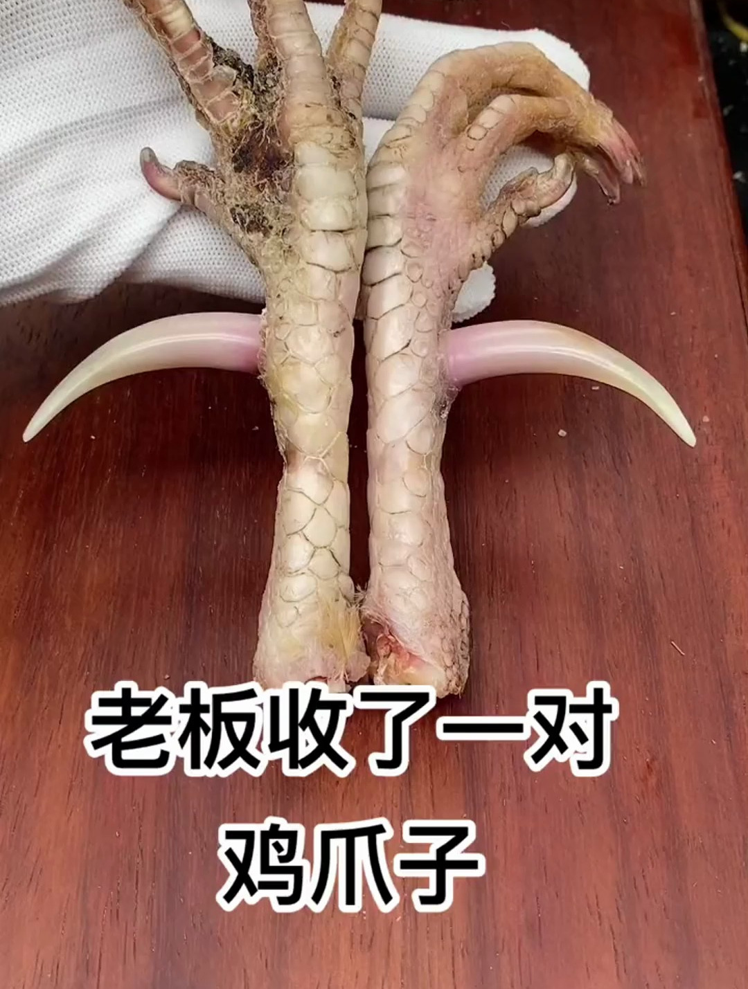 文玩鸡爪骨 文玩鸡蹬子 老板的眼光真不错