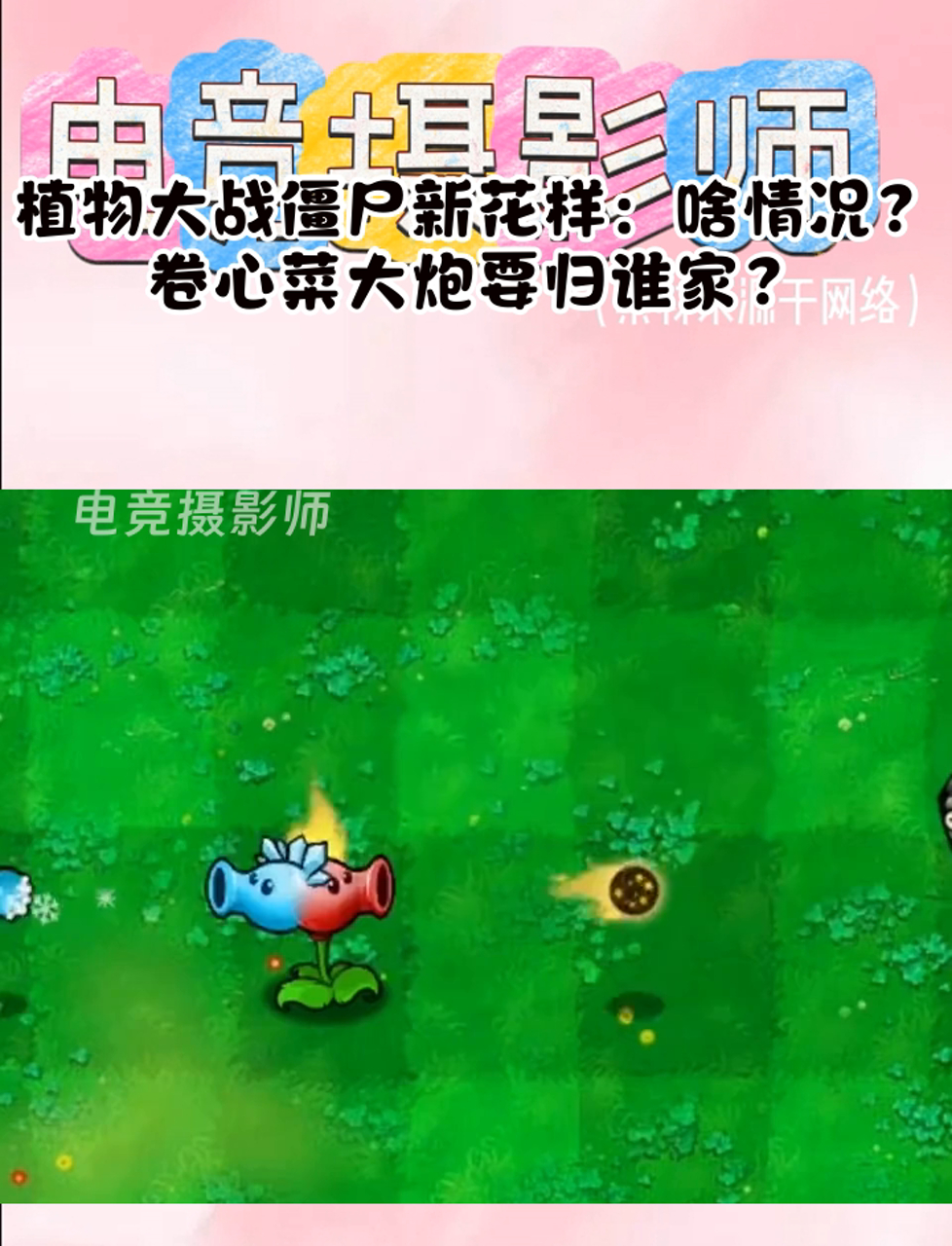 植物大战僵尸新花样:啥情况?卷心菜大炮要归谁家?