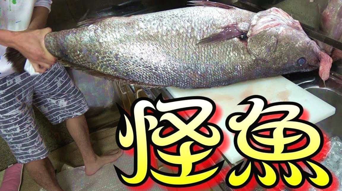 「海鲜小哥金子」推测年龄400岁?处理一条有视觉冲击力的深海怪鱼
