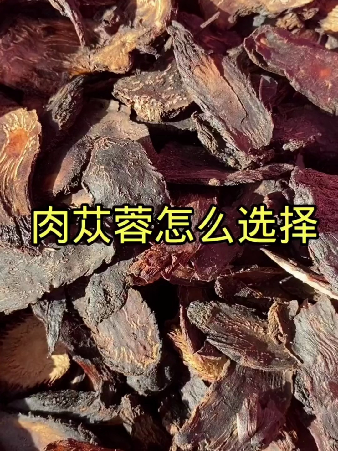 肉苁蓉,家人们来了解一下吧