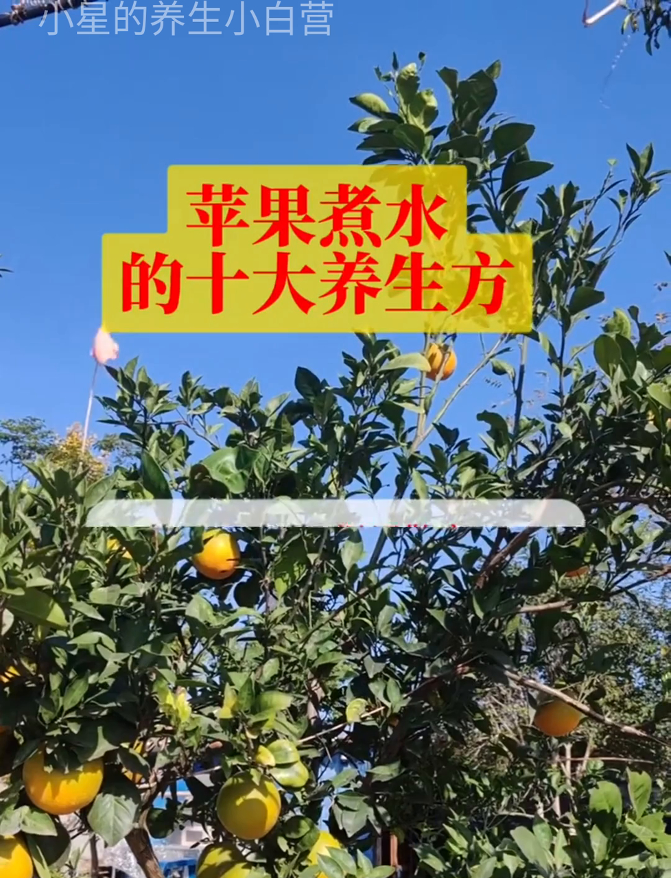 煮苹果水的十种健康喝法,适合全家人享用