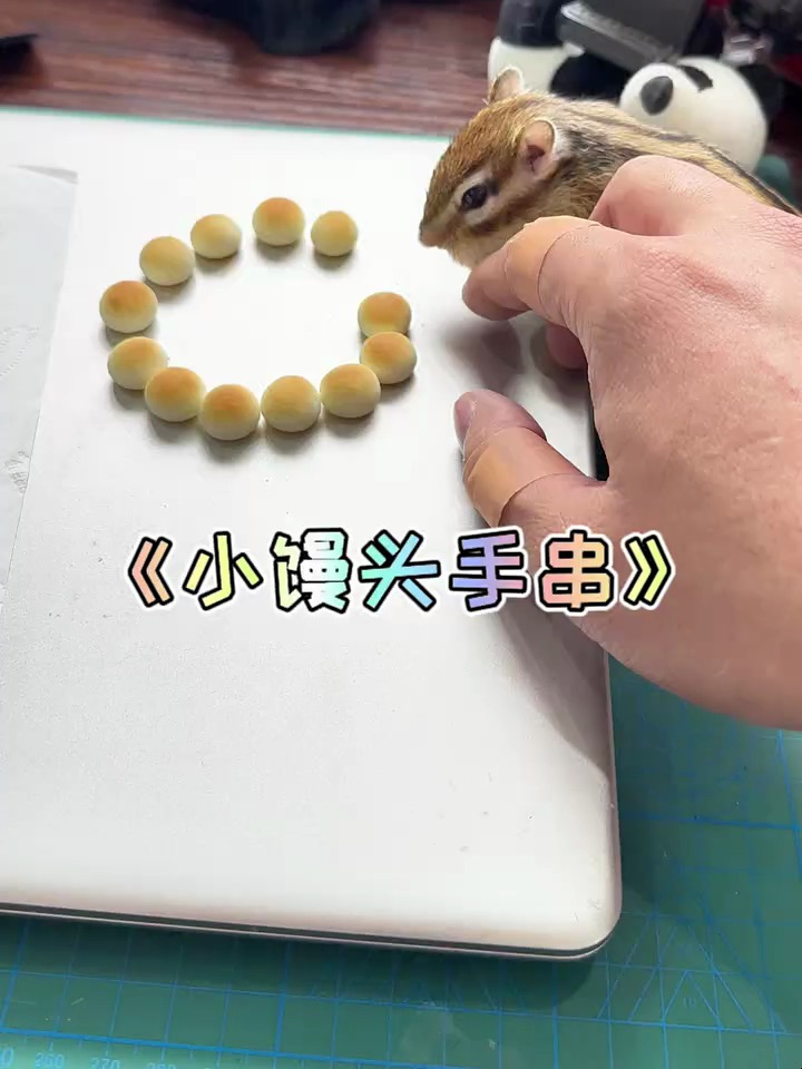 旺仔小馒头手串!