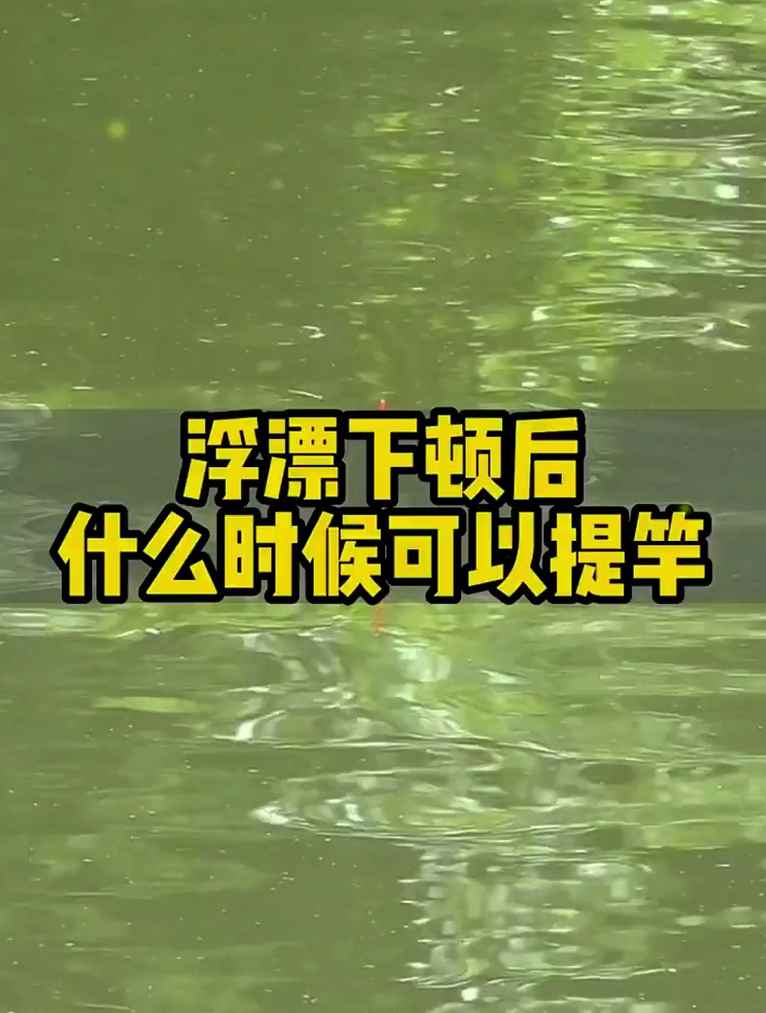 顿口后要多久提竿?取决于鱼情,鱼情不同最佳抬竿时机也不同!