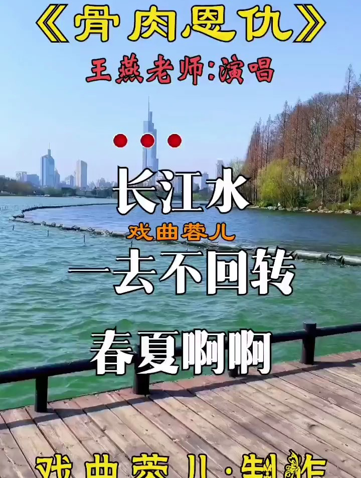 豫剧名家名段 骨肉恩仇选段 王燕经典唱段