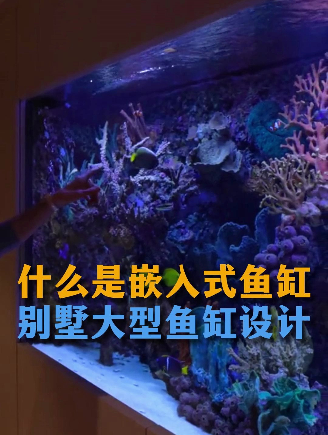 嵌入式鱼缸如何定制,别墅大型鱼缸设计