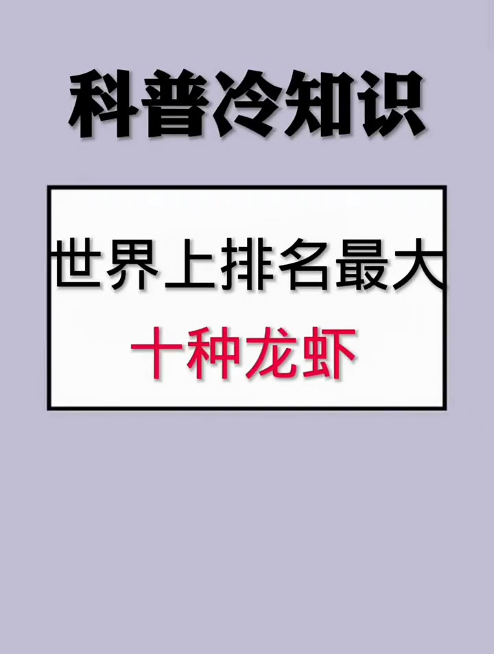 世界上排名最大十种龙虾