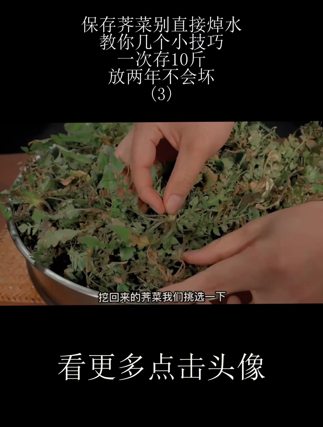 鲜嫩如新!教你保存荠菜的小技巧!