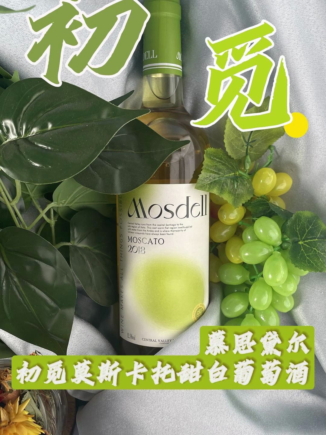 我站起身来,满怀期盼,振奋不已,因为我很明白,成功就在前方