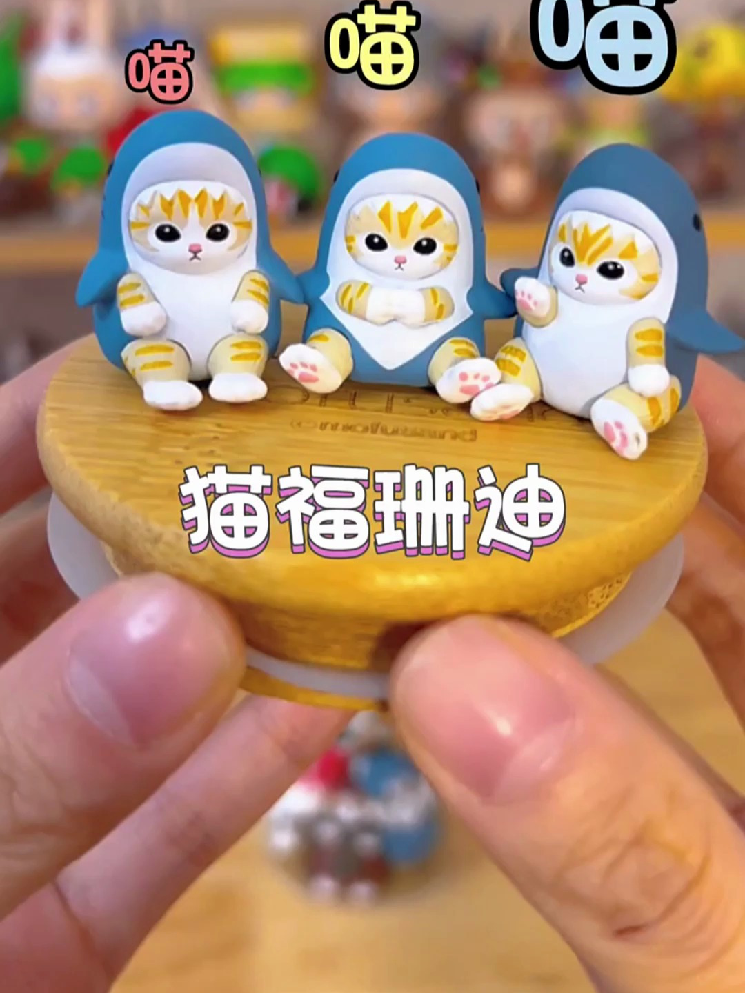 小～咪～咪～嘿嘿嘿嘿小咪咪～鲨鱼猫!