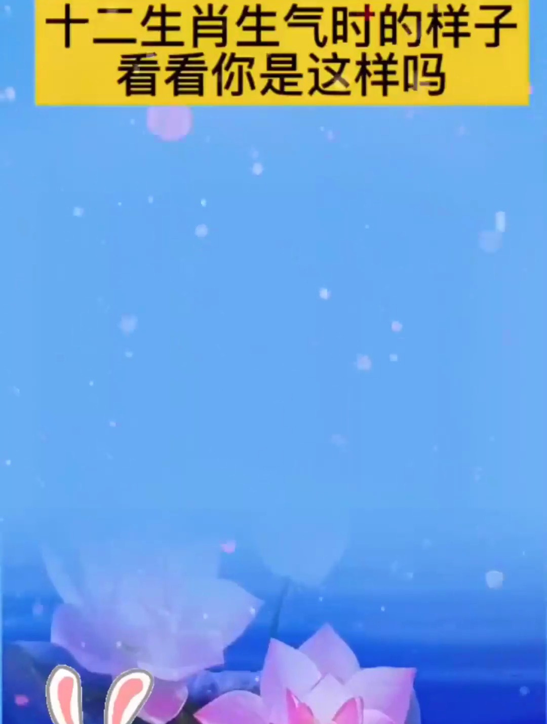 十二生肖生气时的样子,鸡生气一(就爱哭),看看你是这样吗!