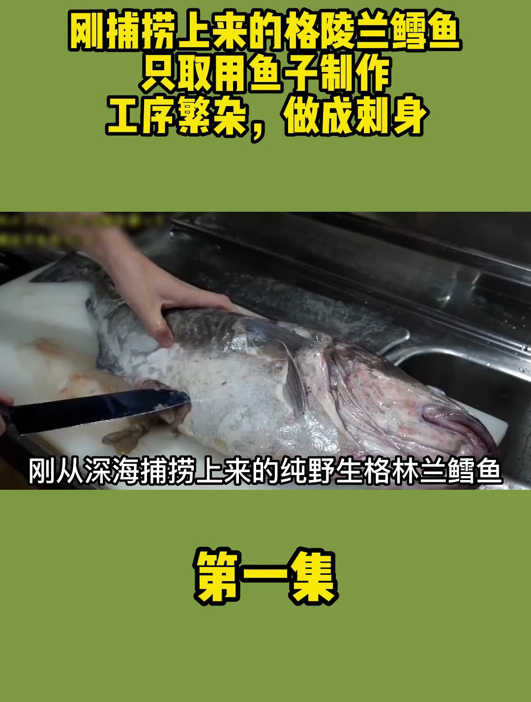刚捕捞上来的格陵兰鳕鱼,只取用鱼子制作,工序繁杂,做成刺身