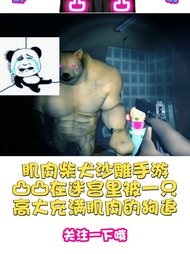 凸凸在迷宫里被一只高大充满肌肉的狗追!肌肉柴犬沙雕手游