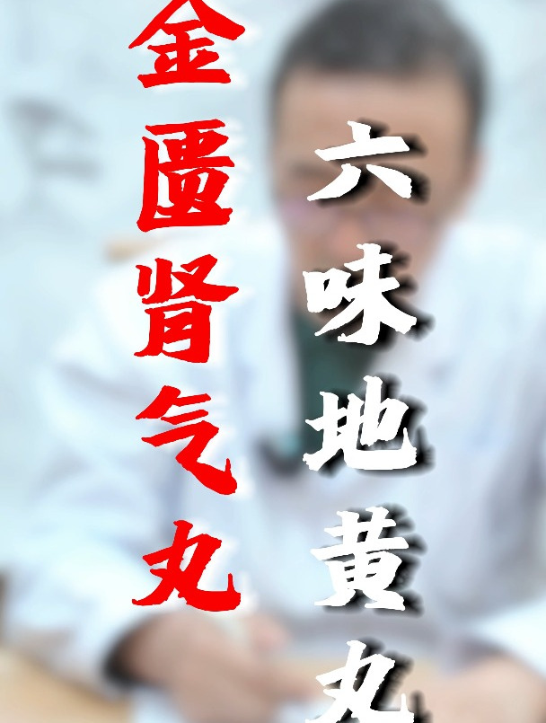 金匮肾气丸 六味地黄丸