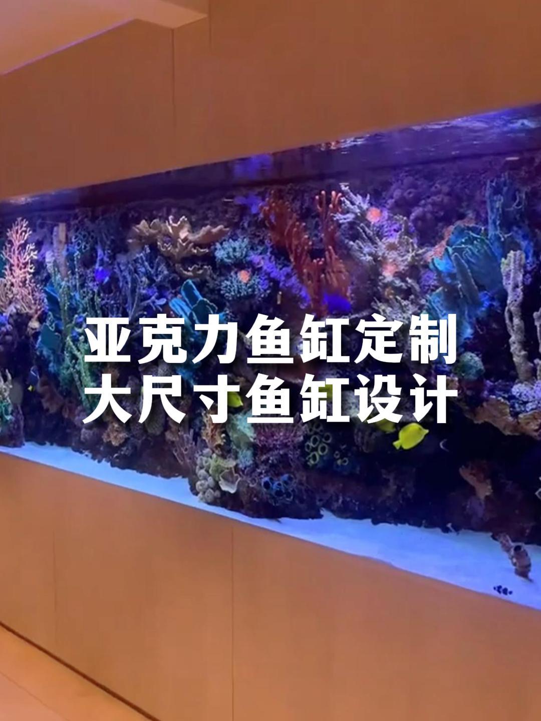 定制超大尺寸鱼缸,打造独一无二的水族天地