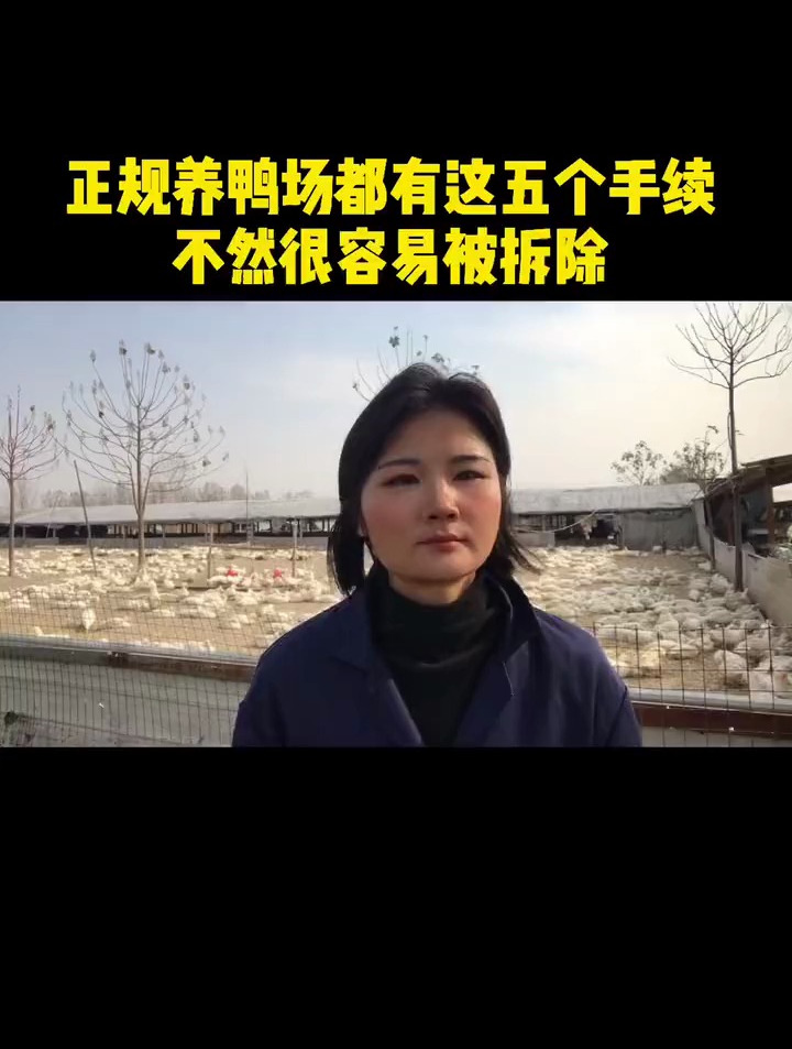 想开一家养鸭场,这五个手续是必须要办的