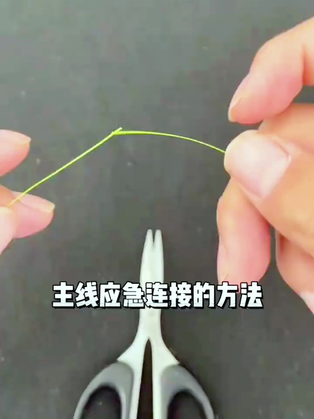 学会这种鱼线对接的方法,主线断了也能接着用
