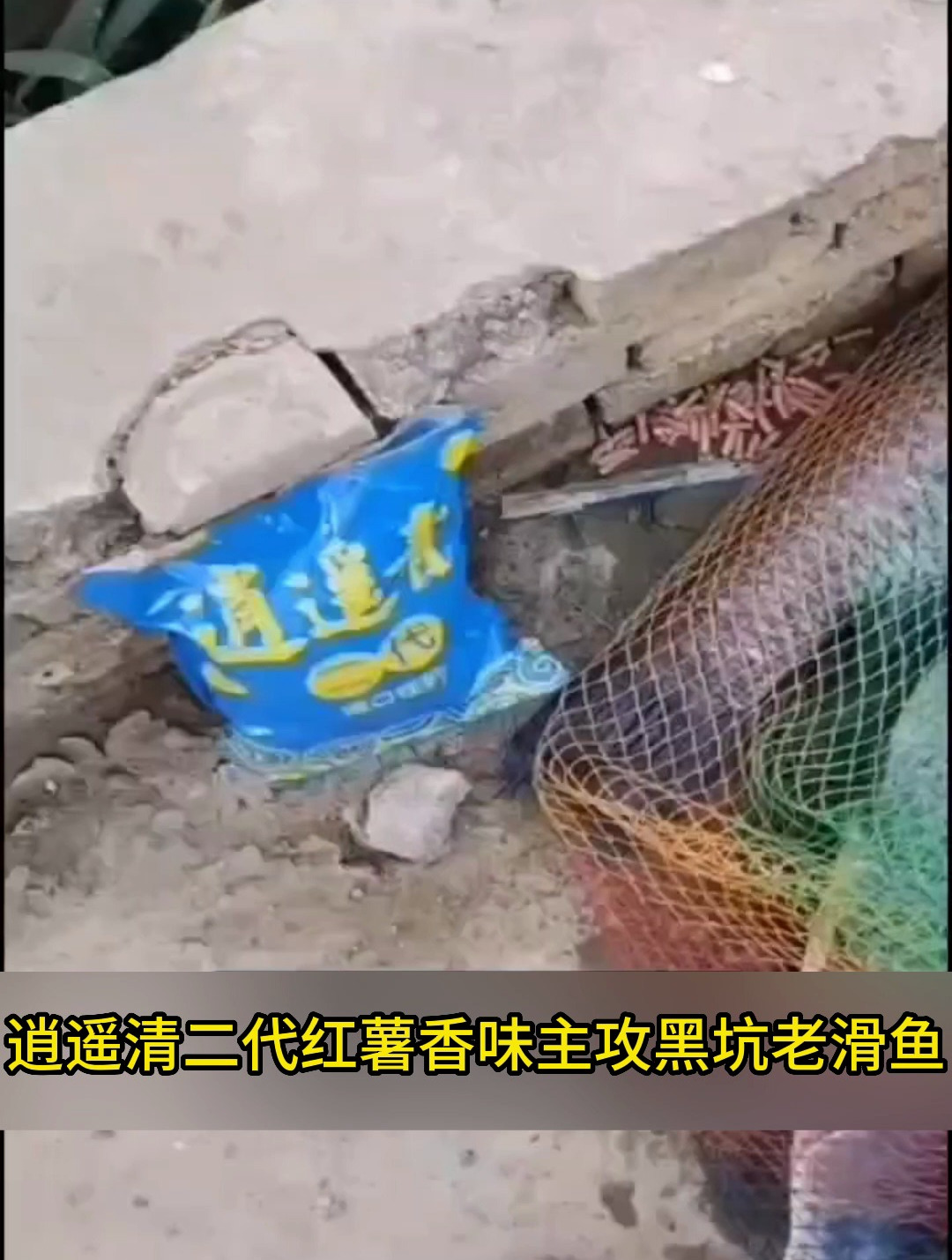 从老钓友那学来专钓草鱼和青鱼的饵料,简单上鱼效果好!