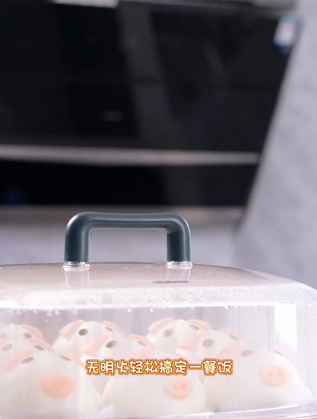 苏泊尔(SUPOR)电蒸锅 蒸炖锅