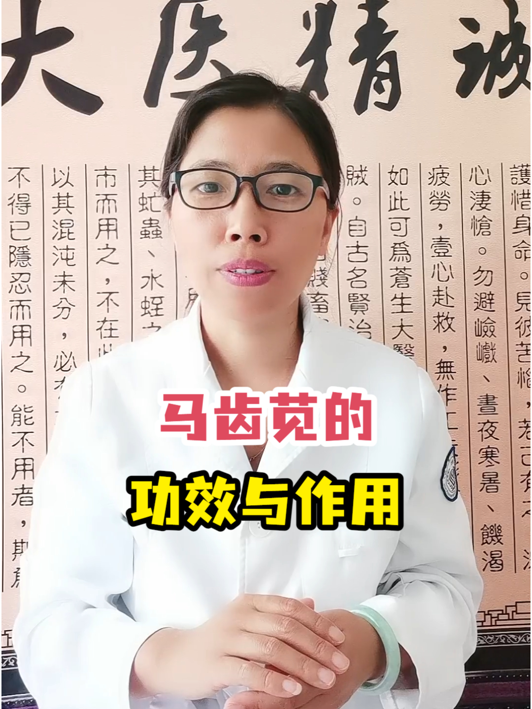 马齿苋的功效与作用