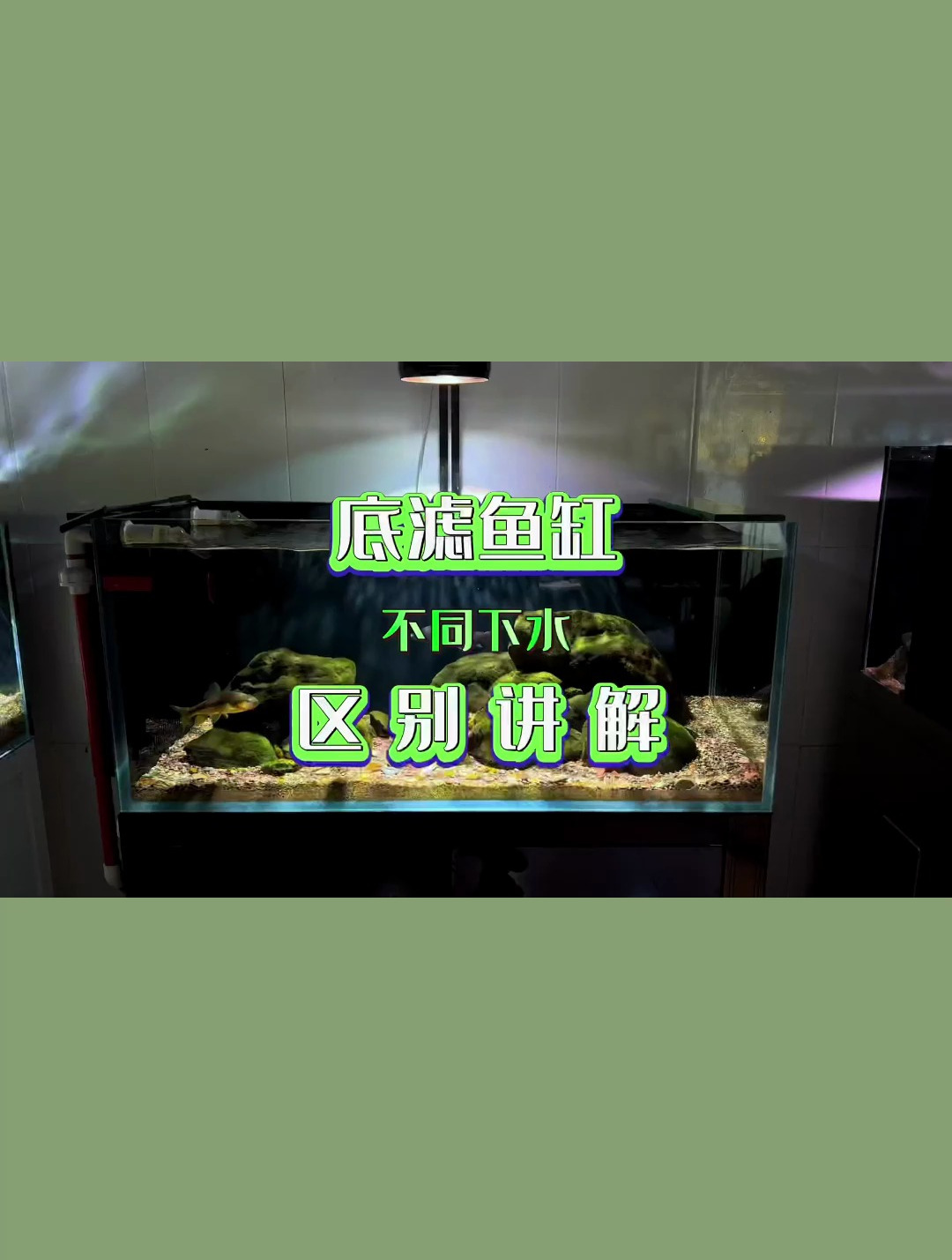 底滤鱼缸上下水介绍 目前市面上比较常见的几种 各有优点和缺点