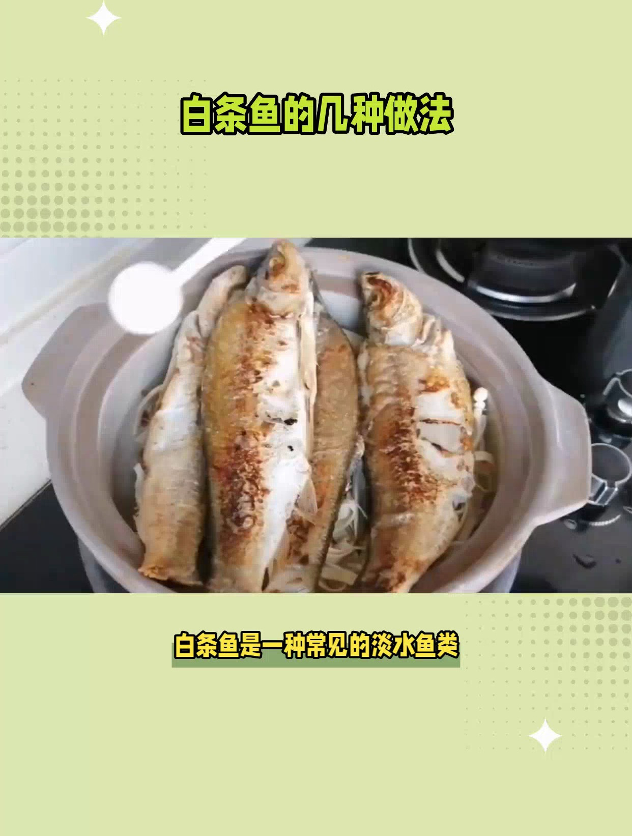 白条鱼美味做法大揭秘,让你秒变厨艺达人