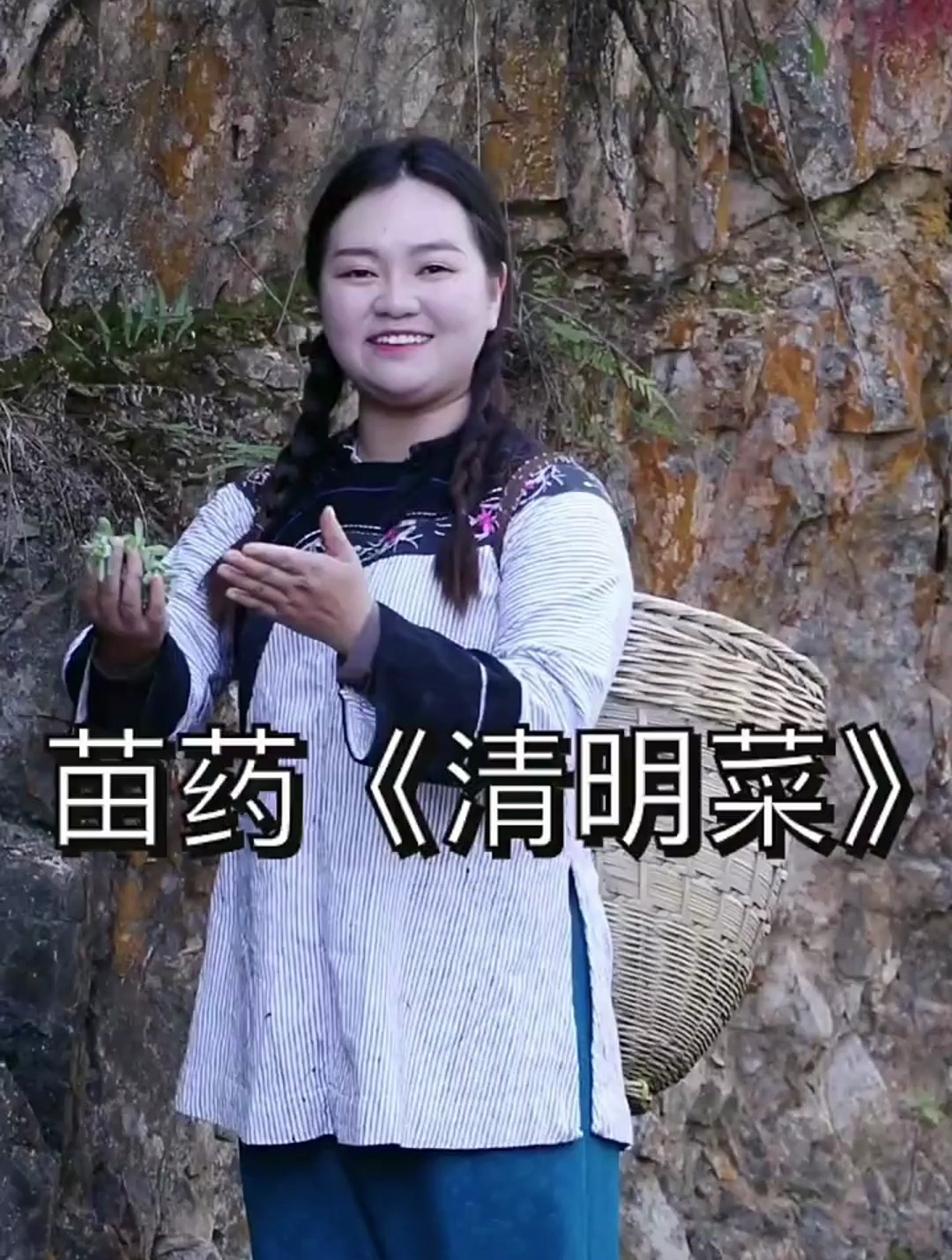 早上采的清明菜,晚上煮汤喝,过来品尝一下贵州的野菜吧!