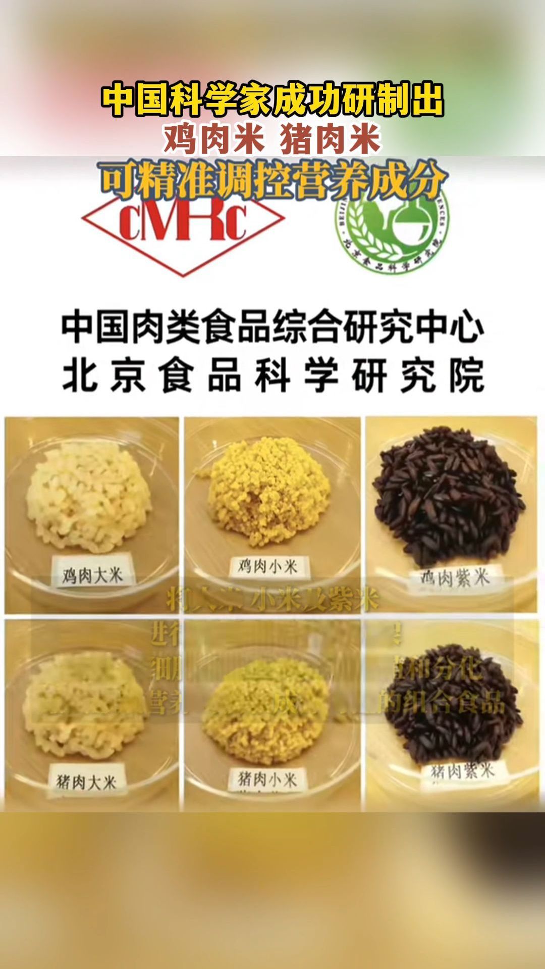 中国科学家成功研制出鸡肉米、猪肉米