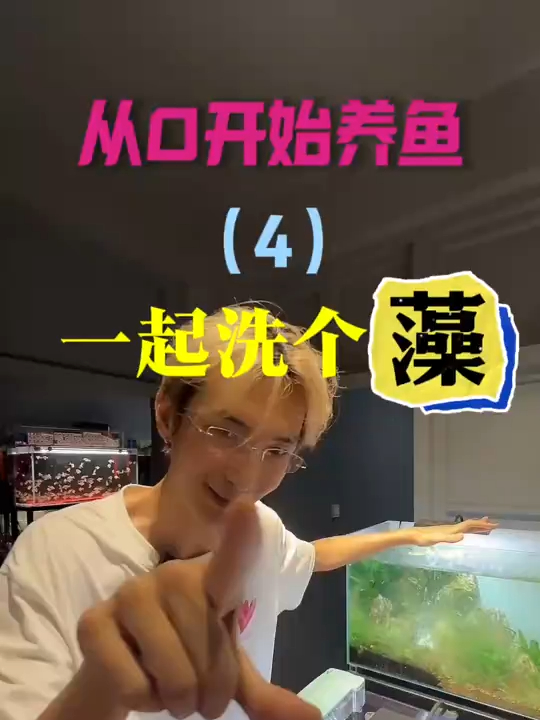 新手养鱼,水藻大白话 养鱼日记 新手养鱼 鱼缸 水藻 水族34