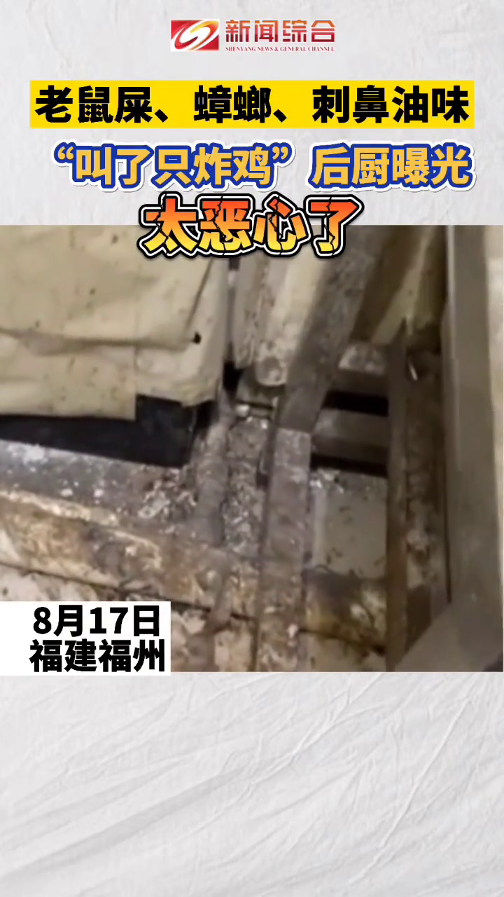 叫了只炸鸡一门店后厨环境脏乱差!被执法人员立案查处!