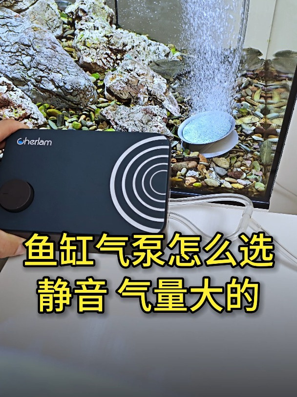 鱼缸选氧气泵的三个条件:静音、气量大、气压足!这氧气泵全符合