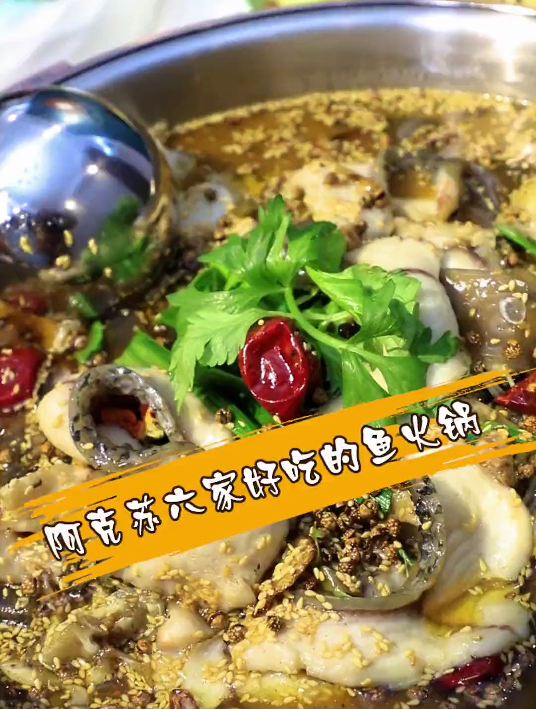 不要再问阿克苏 哪里鱼火锅好吃了,这六家店不要错过