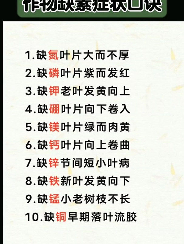 缺素症状 蔬菜种植