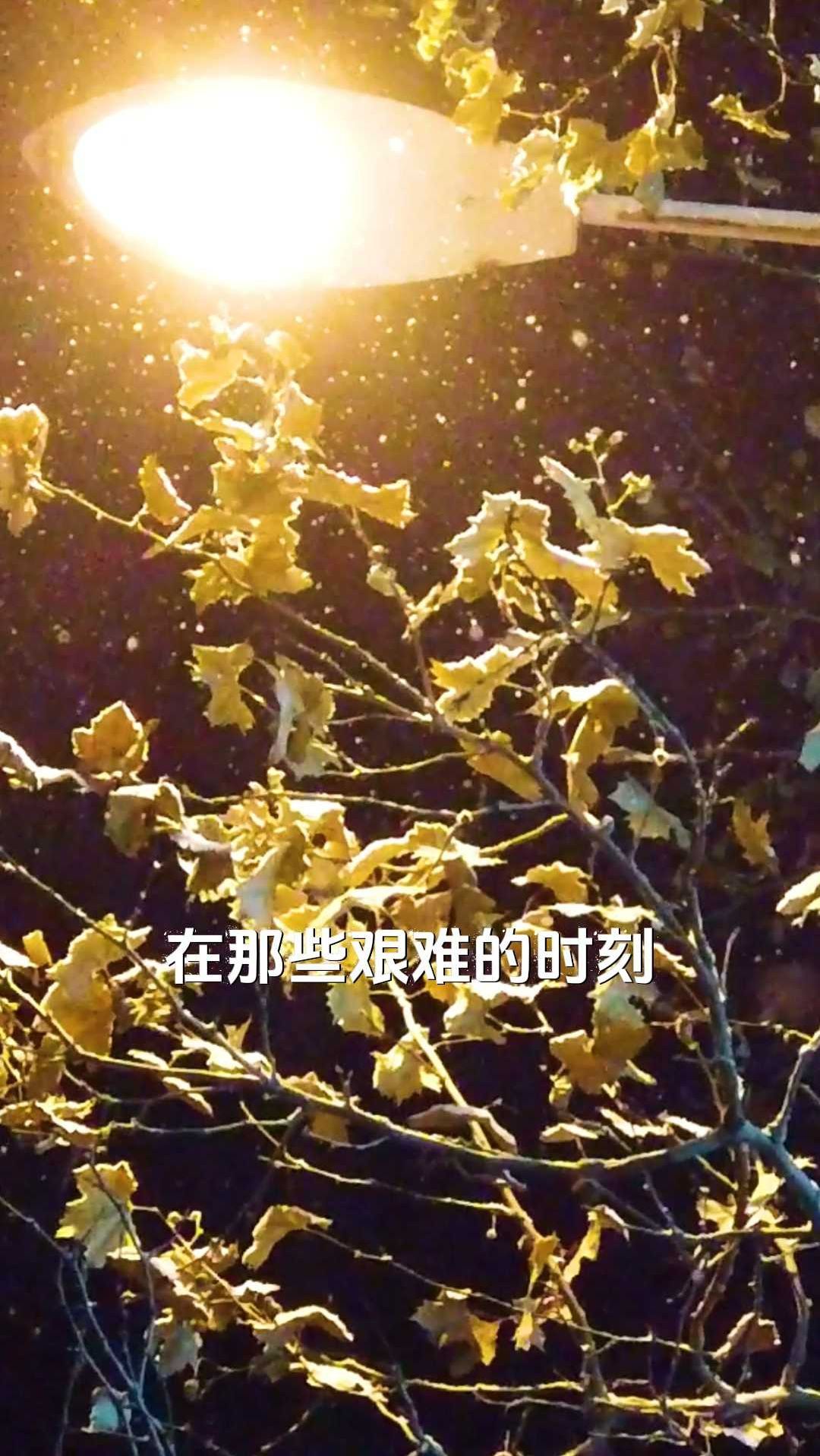 在那些艰难的时刻,我们都需要一碗 “心灵鸡汤” 来温暖自己