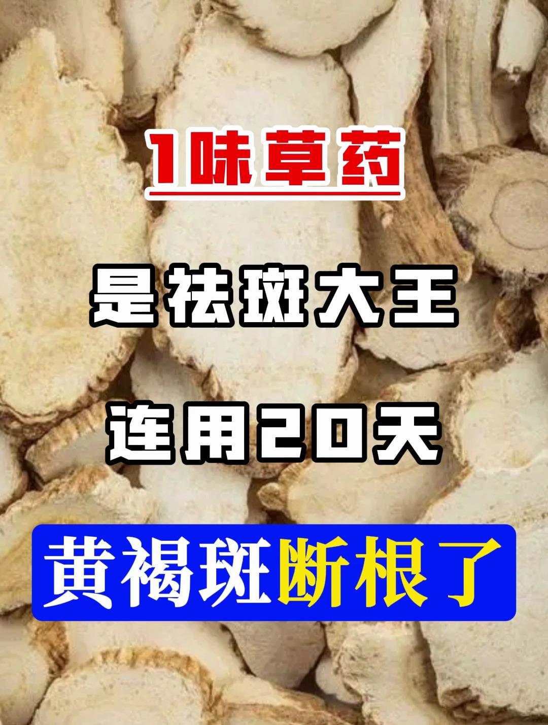 1味草药是祛斑大王