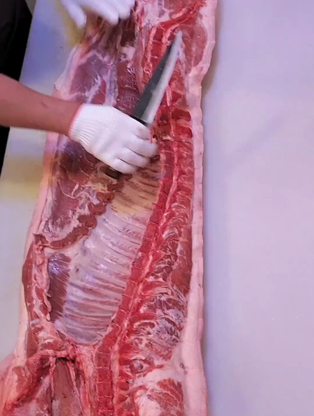 边开边讲,猪肉分割技巧