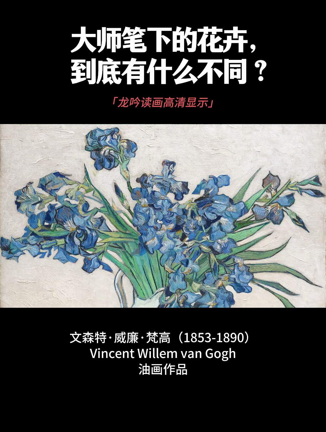 大师笔下的花卉,到底有什么不同?