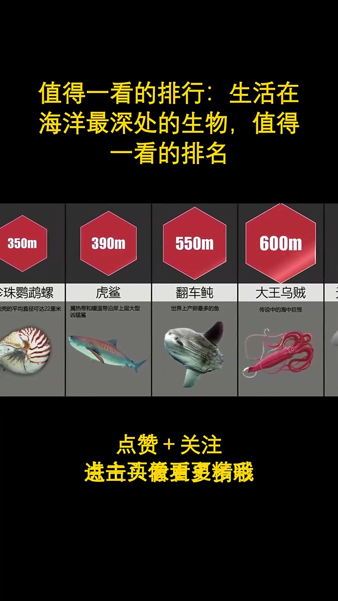 生活在海洋最深处的生物,值得一看的排名