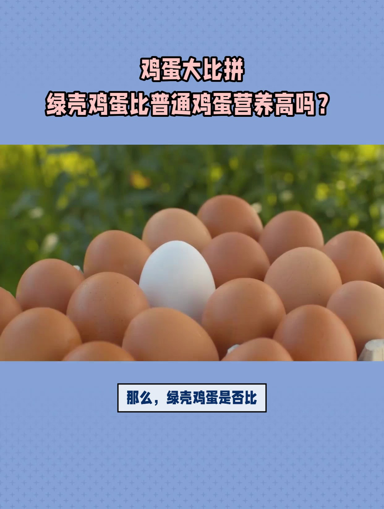 鸡蛋大比拼:绿壳鸡蛋比普通鸡蛋营养高吗?