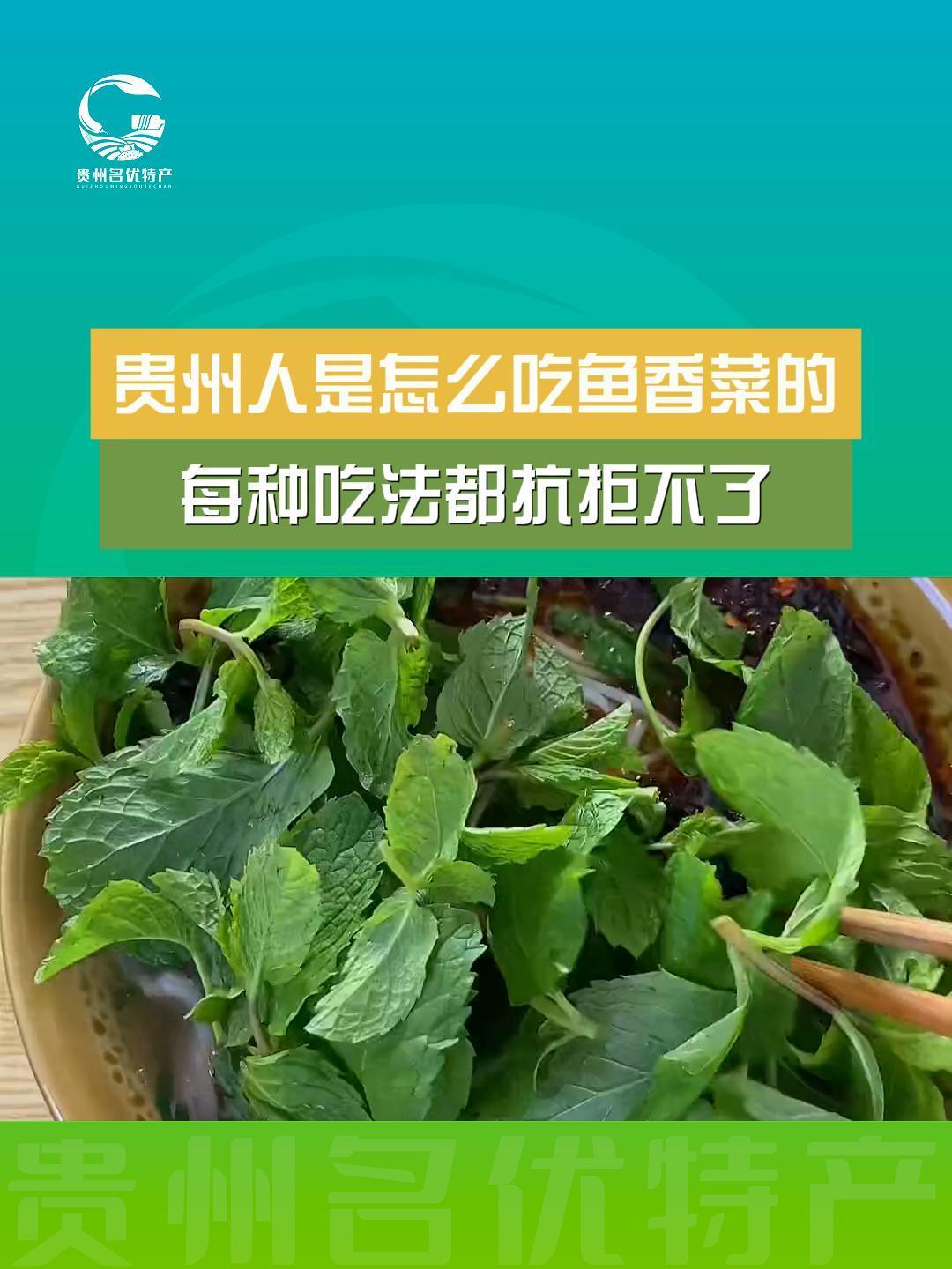 是不是只有贵州人把鱼香菜当菜吃?你们那边叫它什么呢