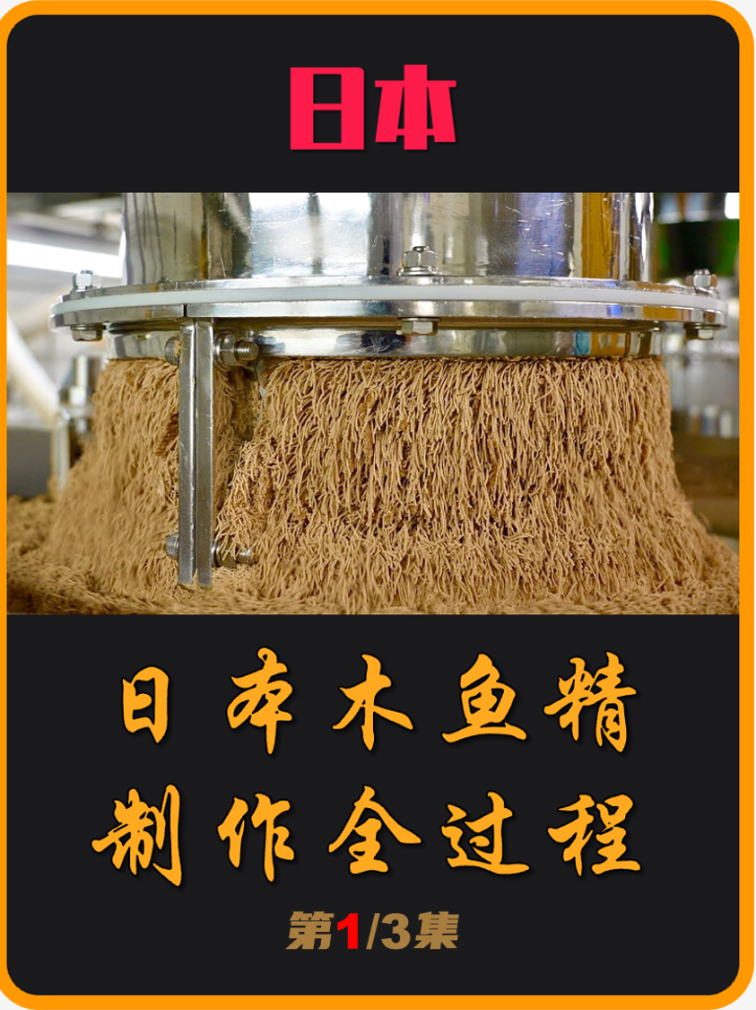 鲜味之王,日本“木鱼精”制作全过程,太有意思了!(01)