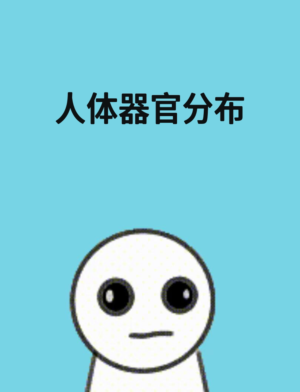 五分钟带你快速认识人体器官分布